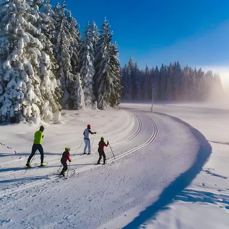 Sonnenstueble 아파트