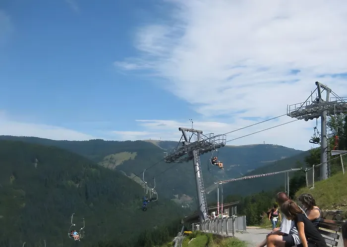 Appartement Sonnenstueble Titisee-Neustadt