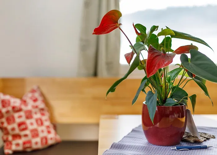 Appartement Sonnenstueble Titisee-Neustadt